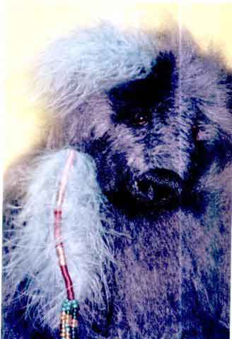 Photograph
